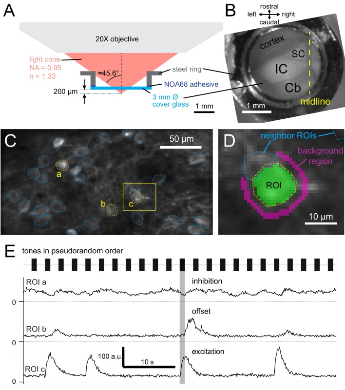 Figure 2.