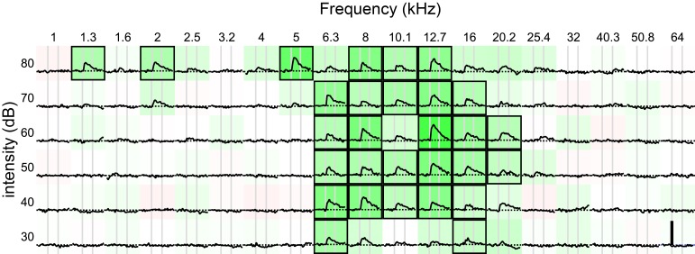 Figure 3—figure supplement 2.