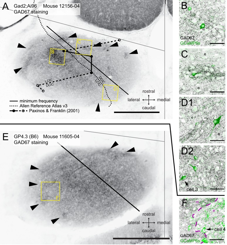 Figure 9.