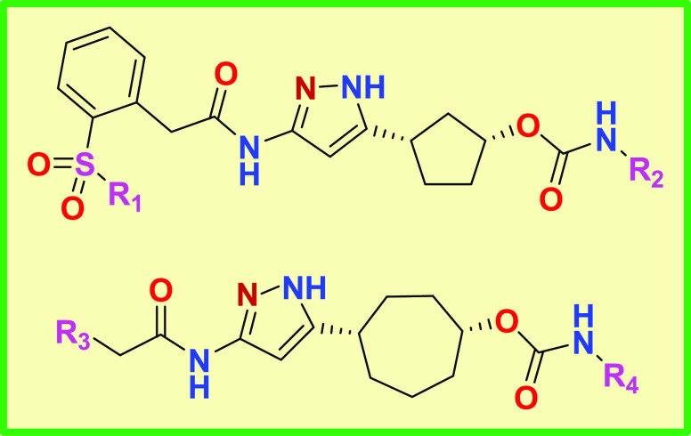 graphic file with name ml2c00417_0001.jpg