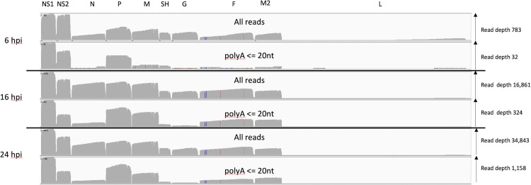 Fig 5