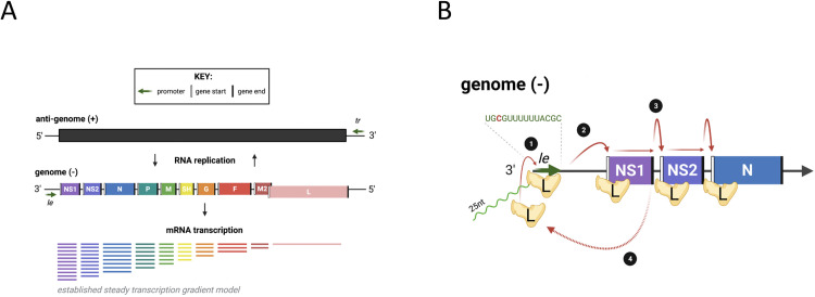 Fig 1