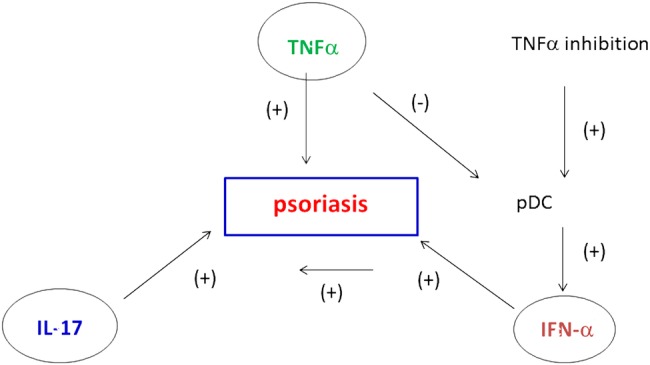 Figure 5