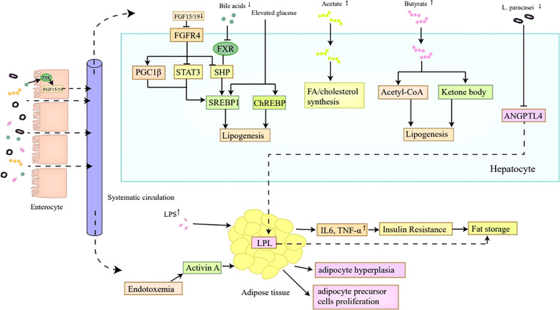 Figure 2