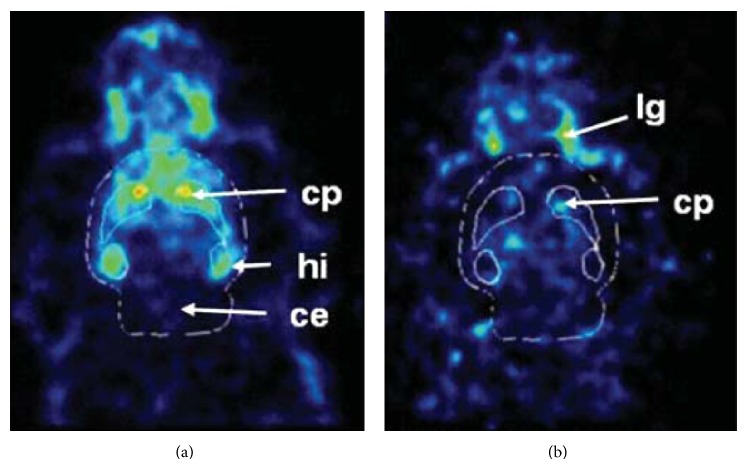 Figure 12