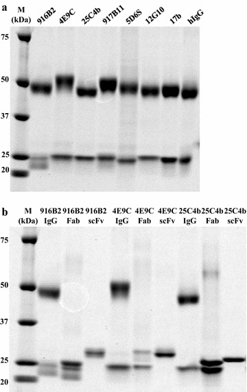 Fig. 1