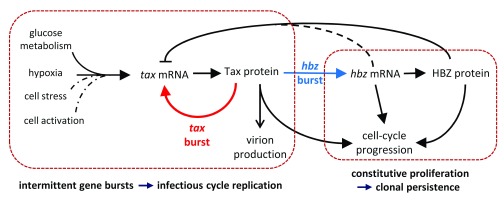 Figure 6. 