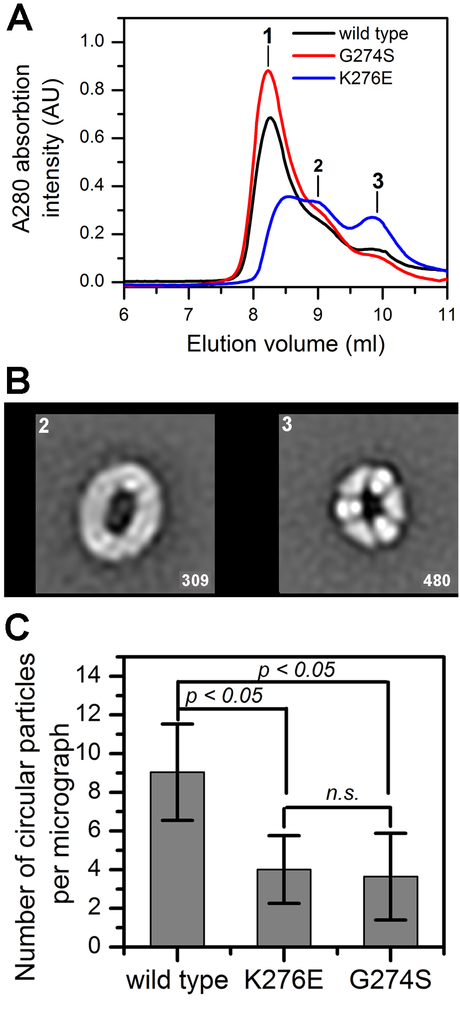 Figure 5.