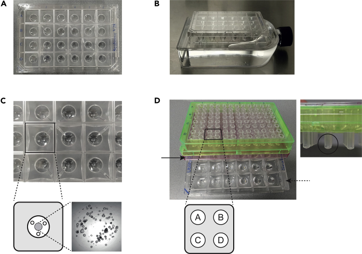 Figure 3