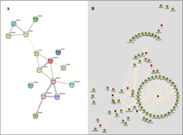 Figure 6