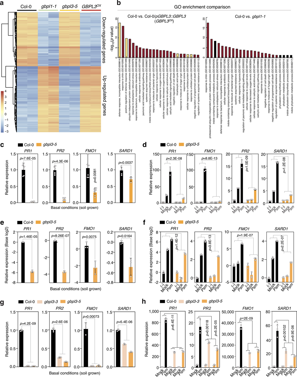 Extended Data Fig. 3 |