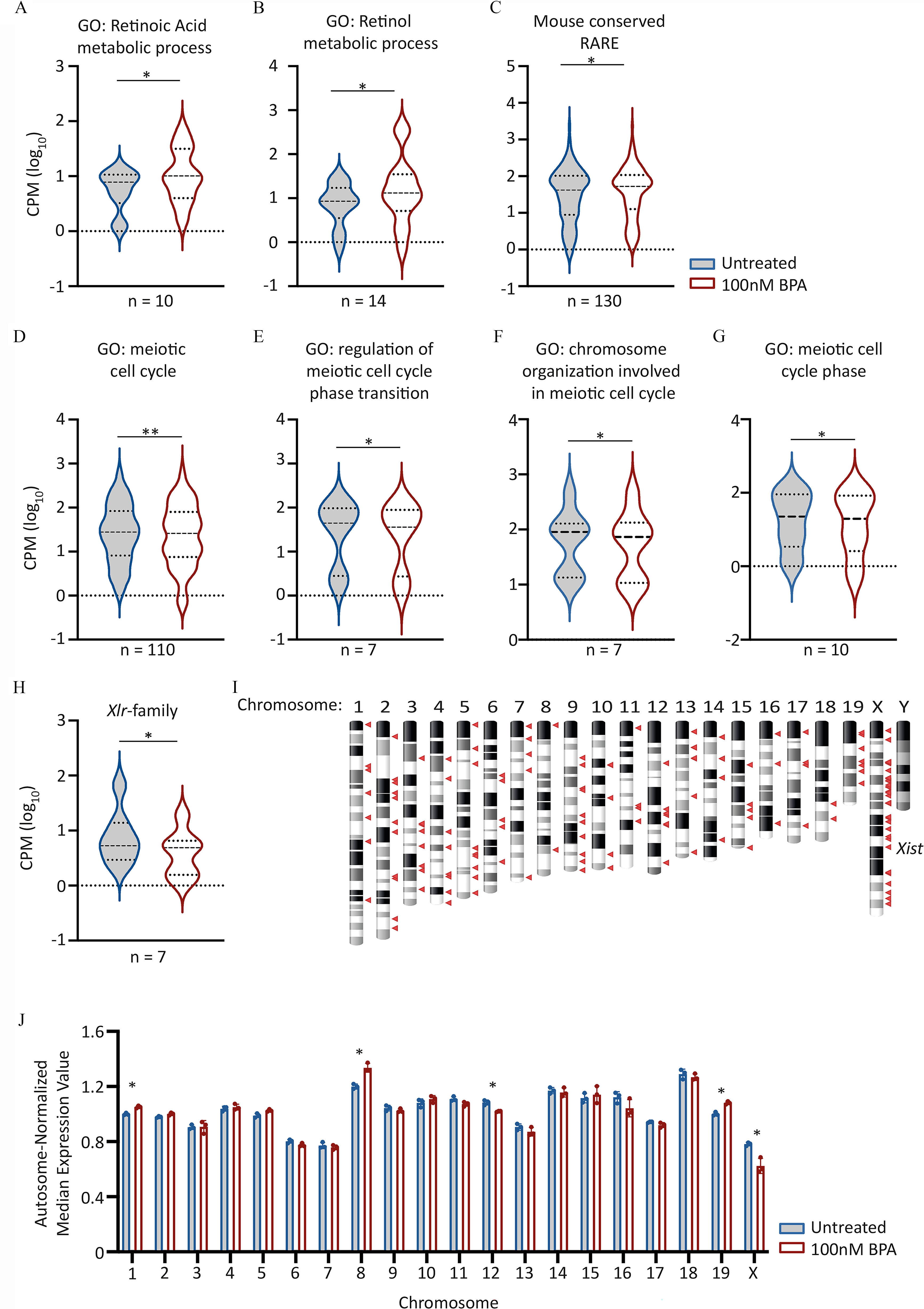 Figures 5A to 5H are violin plots titled G O: Retinoic acid metabolic process, G O: Retinoic metabolic process, Mouse conserved RARE, G O: meiotic cell cycle, G O: regulation of meiotic cell cycle phase transition, G O: Chromosome organization involved in meiotic cell cycle, G O: meiotic cell cycle phase, and X l r family plotting count per million (log to the base 10), ranging from negative 1 to 4 in unit increments (y-axis) across n equals 10, 14, 130, 110, 7, 7, 10, and 7 (x-axis), respectively. Figure 5I is an ideogram of chromosomes, plotting Chromosomes, ranging from 1 to 19 in unit increments, X and Y (x-axis). Figure 5J is a clustered bar graph plotting autosome-normalized median expression value, ranging from 0 to 1.6 in increments of 0.4 (y-axis) across chromosome, ranging from 1 to 19 in unit increments and X (x-axis) for untreated and 100 nanomolar bisphenol A.