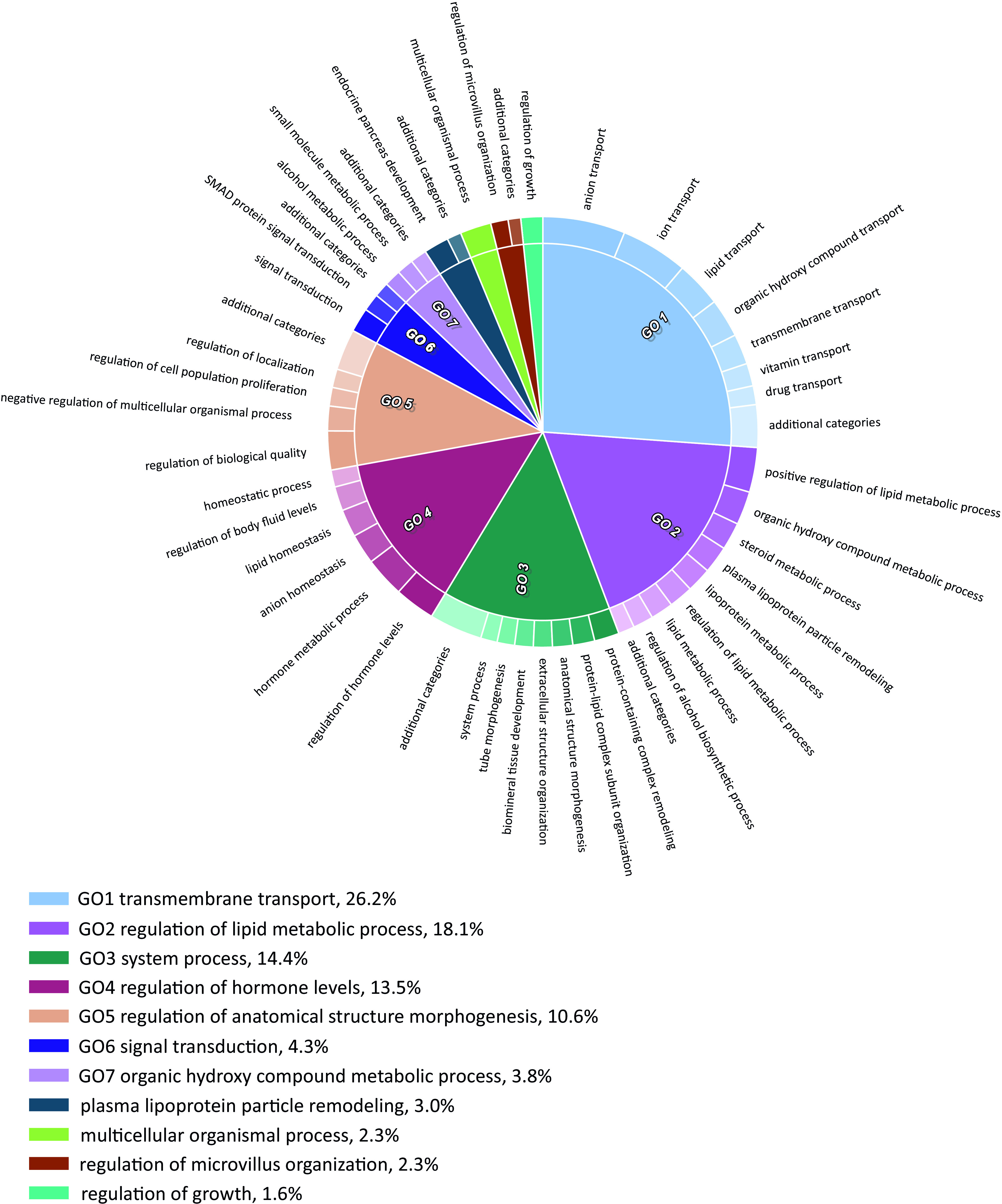 Figure 4 is a pie chart plotting anion transport, ion transport, lipid transport, organic hydroxyl compound transport, transmembrane transport, vitamin transport, drug transport, additional categories, positive regulation of lipid metabolic process, organic hydroxy compound metabolic process, steroid metabolic process, plasma lipoprotein particle remodeling, lipoprotein metabolic process, regulation of lipid metabolic process, lipid metabolic process, regulation of alcohol biosynthetic process, additional categories, protein-containing complex remodeling, protein-lipid complex subunit organization, anatomical structure morphogenesis, extracellular structure organization, biomineral tissue development, tube morphogenesis, system process, additional categories, regulation of hormone levels, hormone metabolic process, anion homeostasis, lipid homeostasis, regulation of body fluid levels, homeostatic process, regulation of biological quality, negative regulation of multicellular organismal process, regulation of cell population proliferation, regulation of localization, additional categories, signal transduction, S M A D protein signal transduction, additional categories, alcohol metabolic process, small molecule metabolic process, additional categories, endocrine pancreas development, additional categories, multicellular organismal process, regulation of microvillus organization, additional categories, and regulation of growth. Anion transport, ion transport, lipid transport, organic hydroxyl compound transport, transmembrane transport, vitamin transport, drug transport, additional categories represent G O1 transmembrane transport, 26.2 percent; positive regulation of lipid metabolic process, organic hydroxy compound metabolic process, steroid metabolic process, plasma lipoprotein particle remodeling, lipoprotein metabolic process, regulation of lipid metabolic process, lipid metabolic process, regulation of alcohol biosynthetic process, additional categories represent G O2 regulation of lipid metabolic process, 18.1 percent; protein-containing complex remodeling, protein-lipid complex subunit organization, anatomical structure morphogenesis, extracellular structure organization, biomineral tissue development, tube morphogenesis, system process, additional categories represent G O3 system process, 14.4 percent; regulation of hormone levels, hormone metabolic process, anion homeostasis, lipid homeostasis, regulation of body fluid levels, homeostatic process represent G O4 regulation of hormone levels, 13.5 percent; regulation of biological quality, negative regulation of multicellular organismal process, regulation of cell population proliferation, regulation of localization, additional categories represent G O5 regulation of anatomical structure morphogenesis, 10.6 percent; signal transduction, S M A D protein signal transduction, additional categories represent G O6 signal transduction, 4.3 percent; alcohol metabolic process, small molecule metabolic process, additional categories represent G O7 organic hydroxy compound metabolic process, 3.8 percent; endocrine pancreas development, additional categories represent plasma lipoprotein particle remodeling, 3.0 percent, multicellular organismal process represent multicellular organismal process, 2.3 percent; regulation of microvillus organization, additional categories represent regulation of microvillus organization, 2.3 percent; and regulation of growth represent regulation of growth, 1.6 percent.