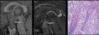 Figure 5