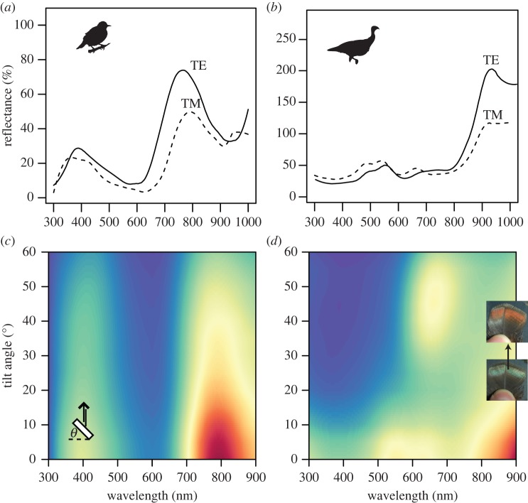 Figure 2.