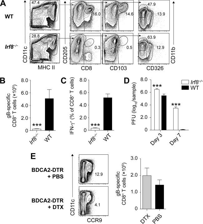 FIG 1