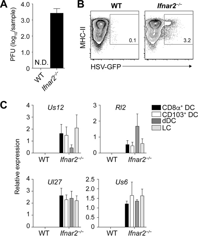 FIG 3