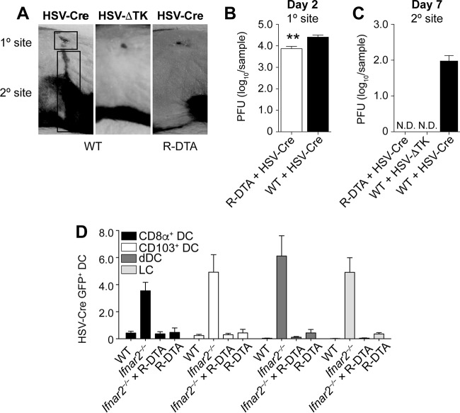 FIG 4