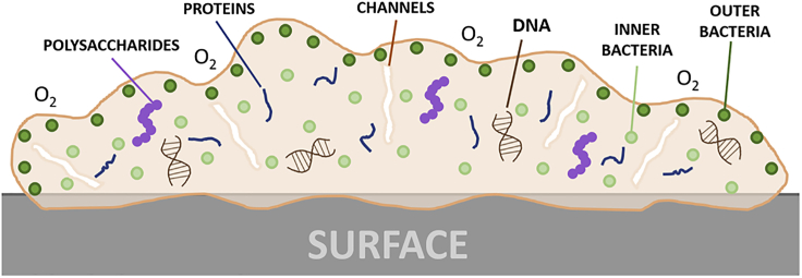 Figure 7