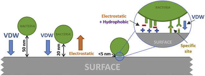 Figure 6