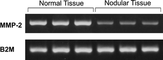 Fig. 6