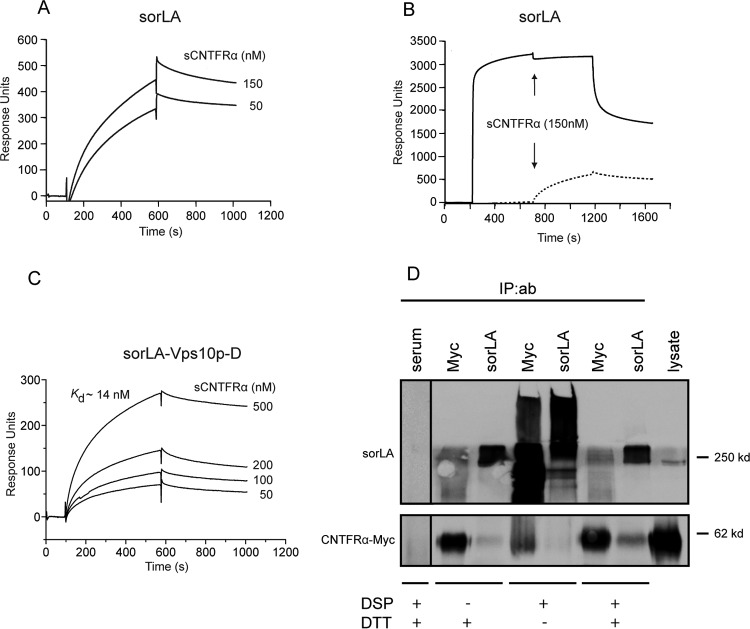 FIG 6