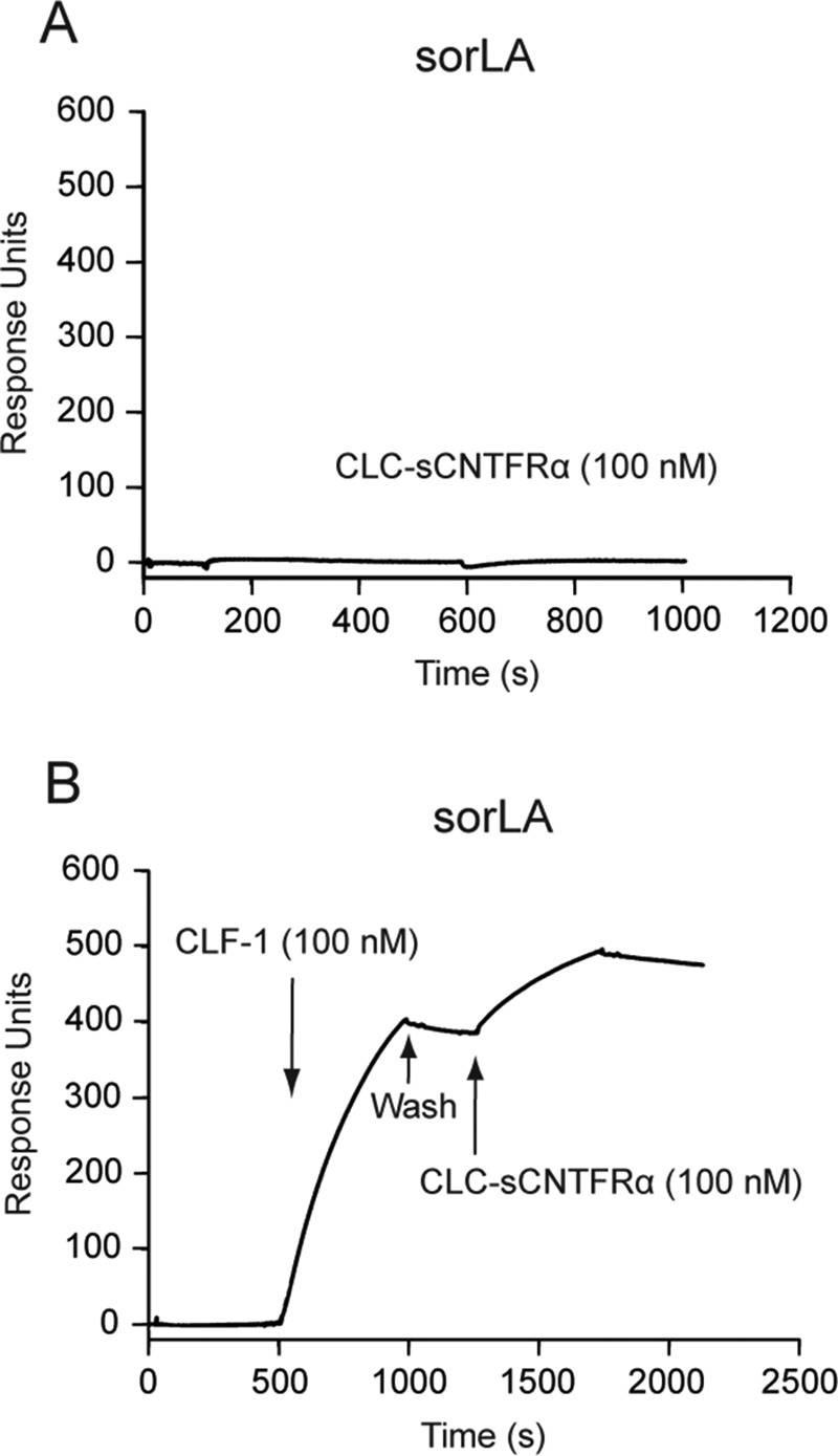 FIG 2