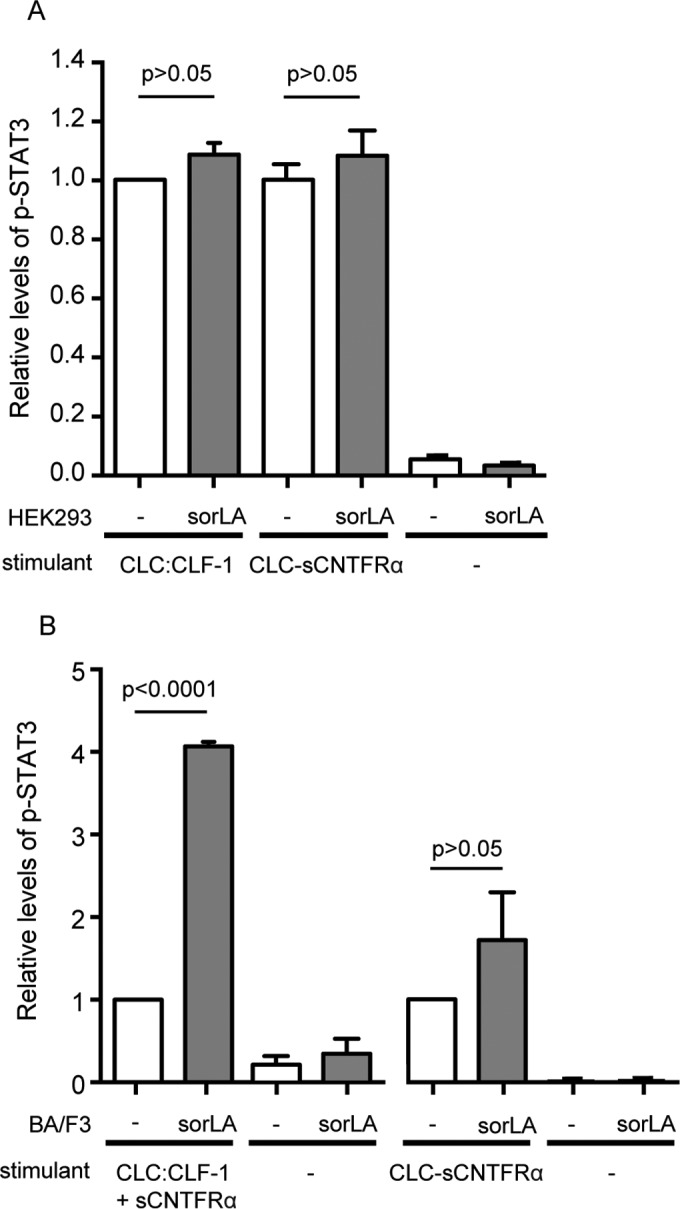 FIG 8