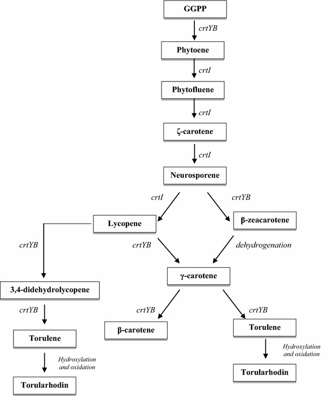 Fig. 3