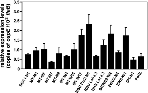 FIG. 7.