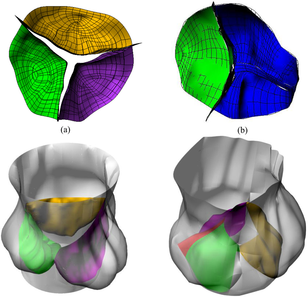 Figure 5