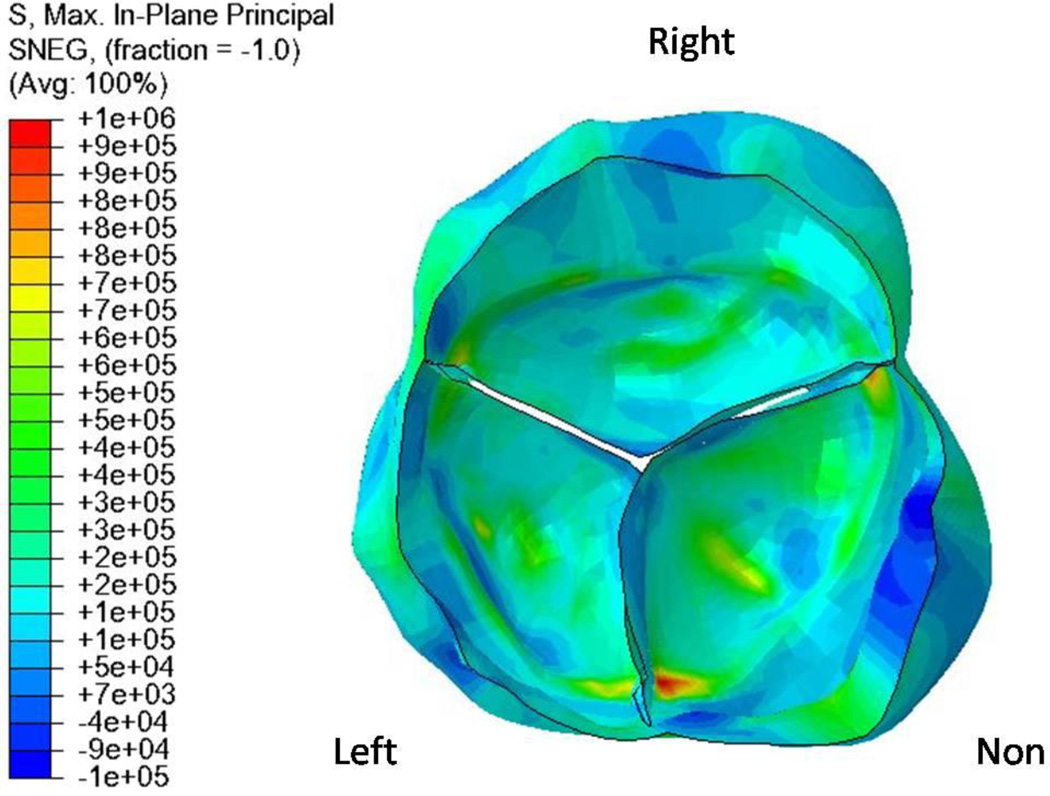 Figure 6