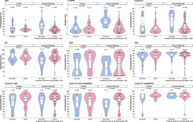 Figure 2. Box plots showing the relationship between median biomarker values at baseline in letrozole ± palbociclib according to CCCA or no CCCA at 14 weeks. The black dots represent the values in individual patients. The red dot indicates the median for clarity when the median line is obscured by data points. P values are derived from Wilcoxon tests.