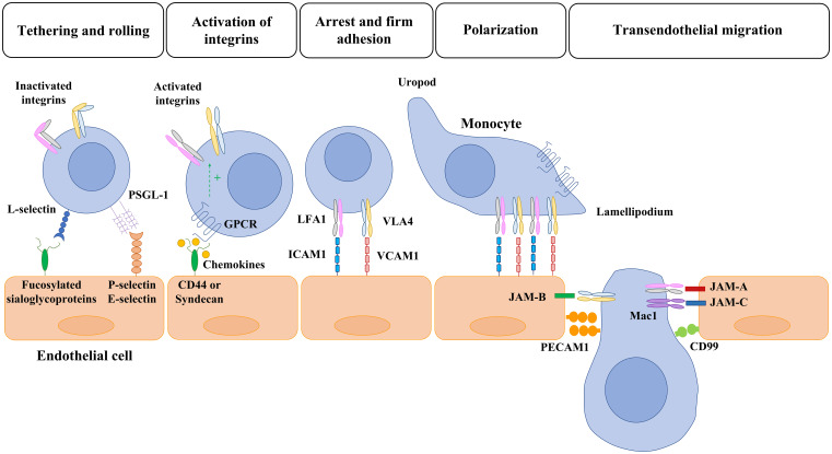 Figure 1