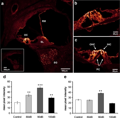 Fig. 6