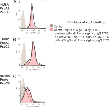 Fig 6