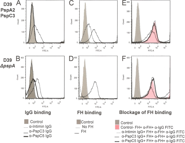 Fig 5