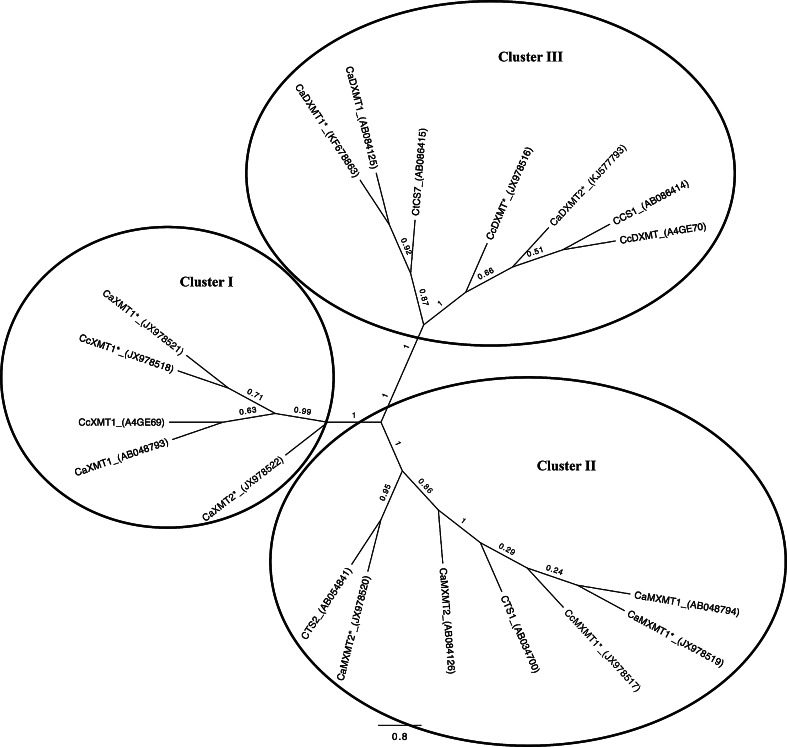 Fig. 2