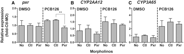 FIG. 6.