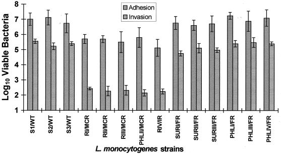 FIG. 1