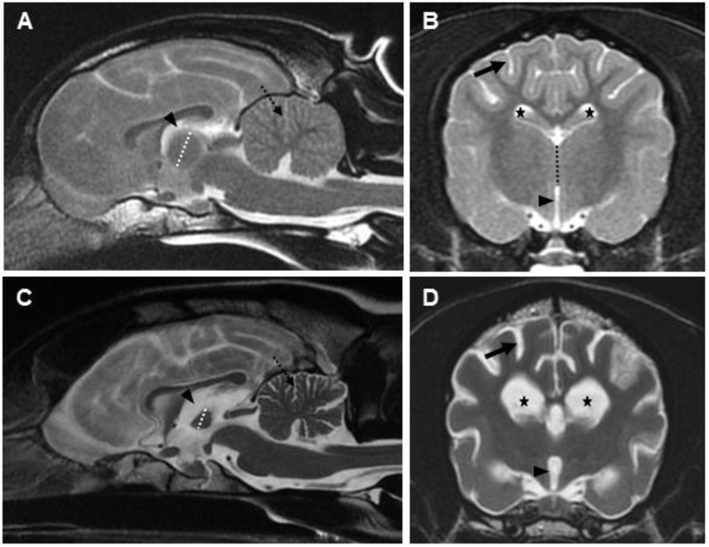 Fig 2.