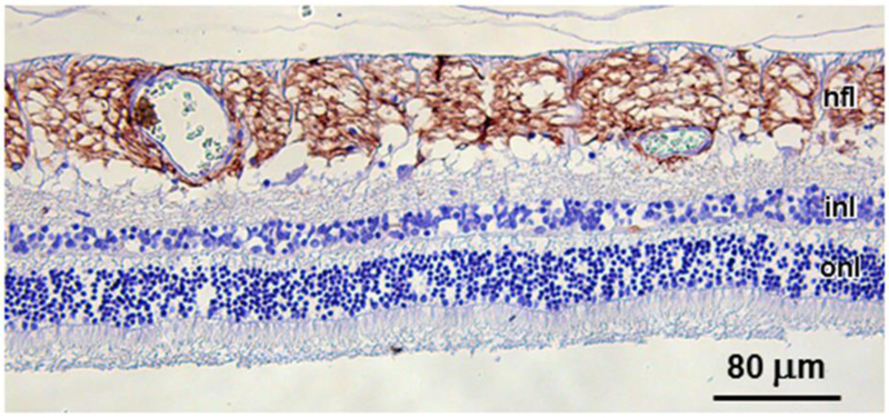 Fig. 6.