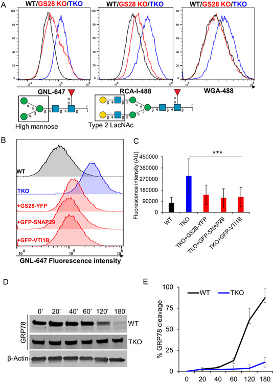 Figure 9: