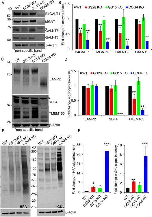 Figure 4: