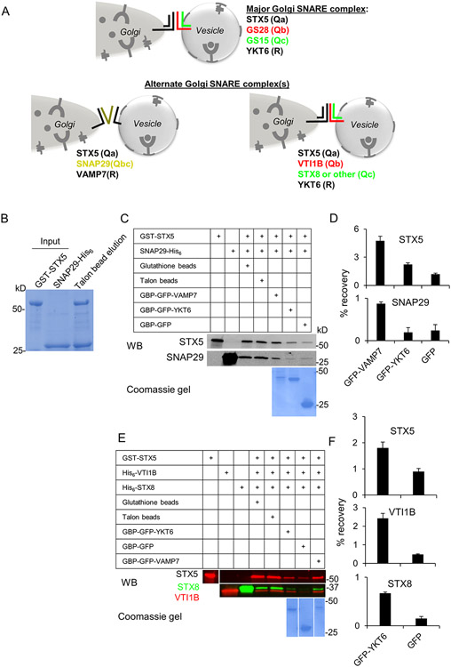 Figure 6: