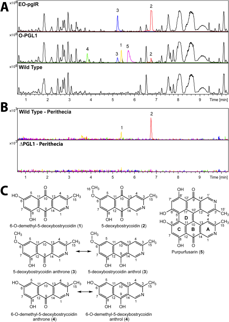 Figure 5