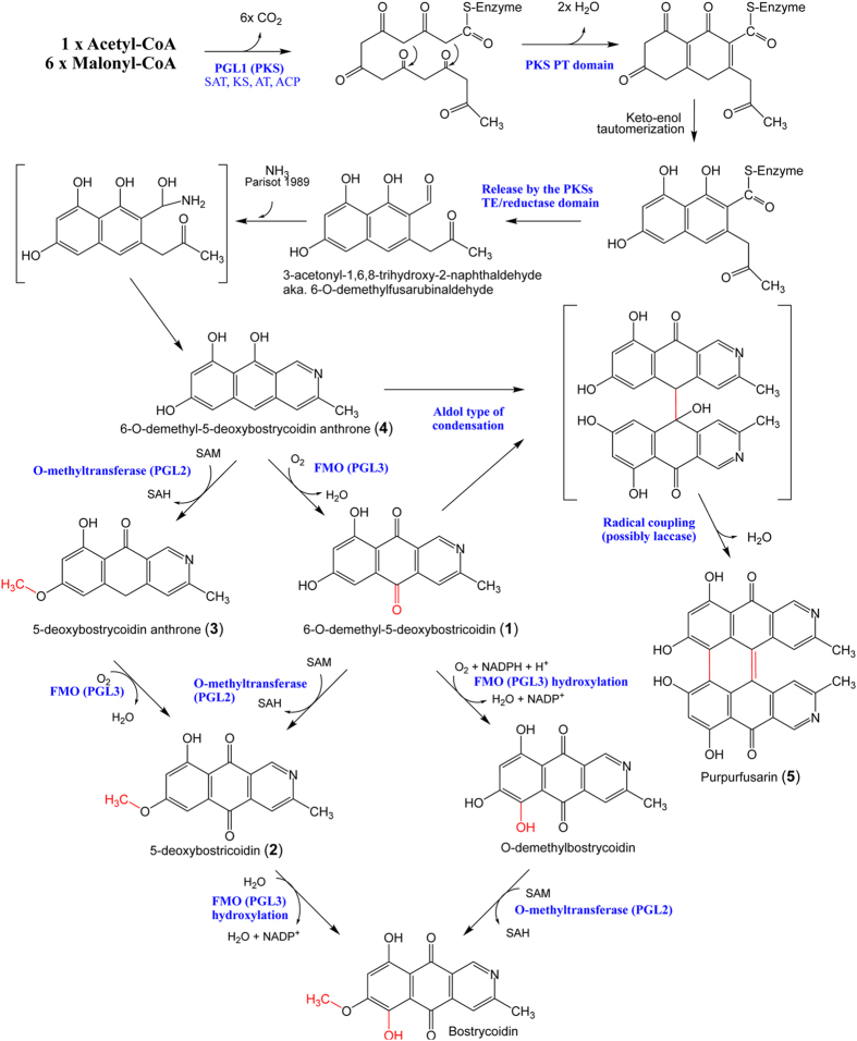 Figure 6