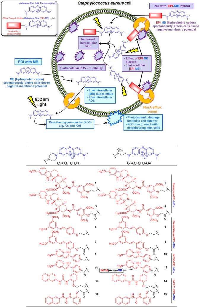 Figure 1.