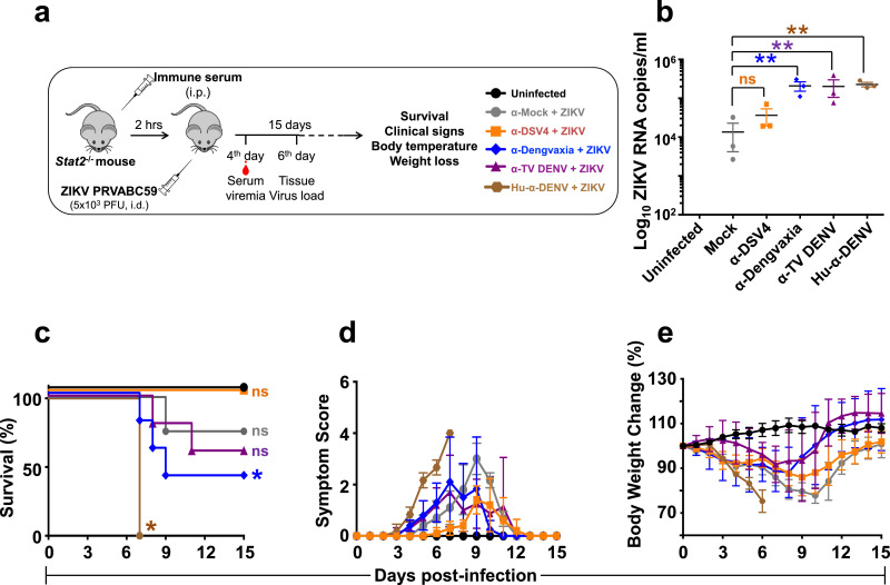 Fig. 7: