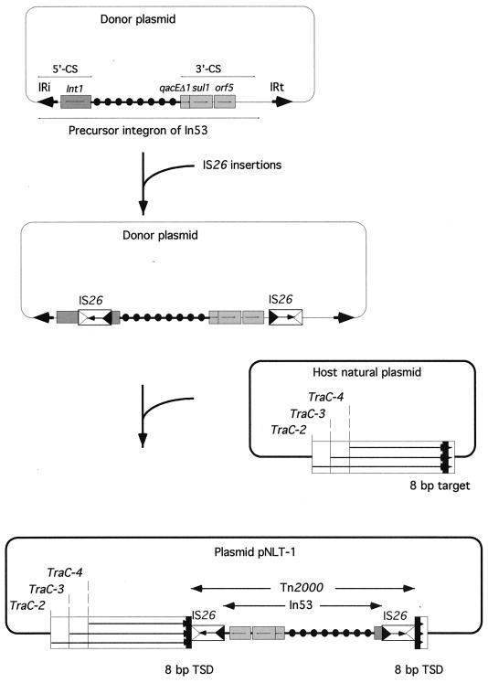 FIG. 7